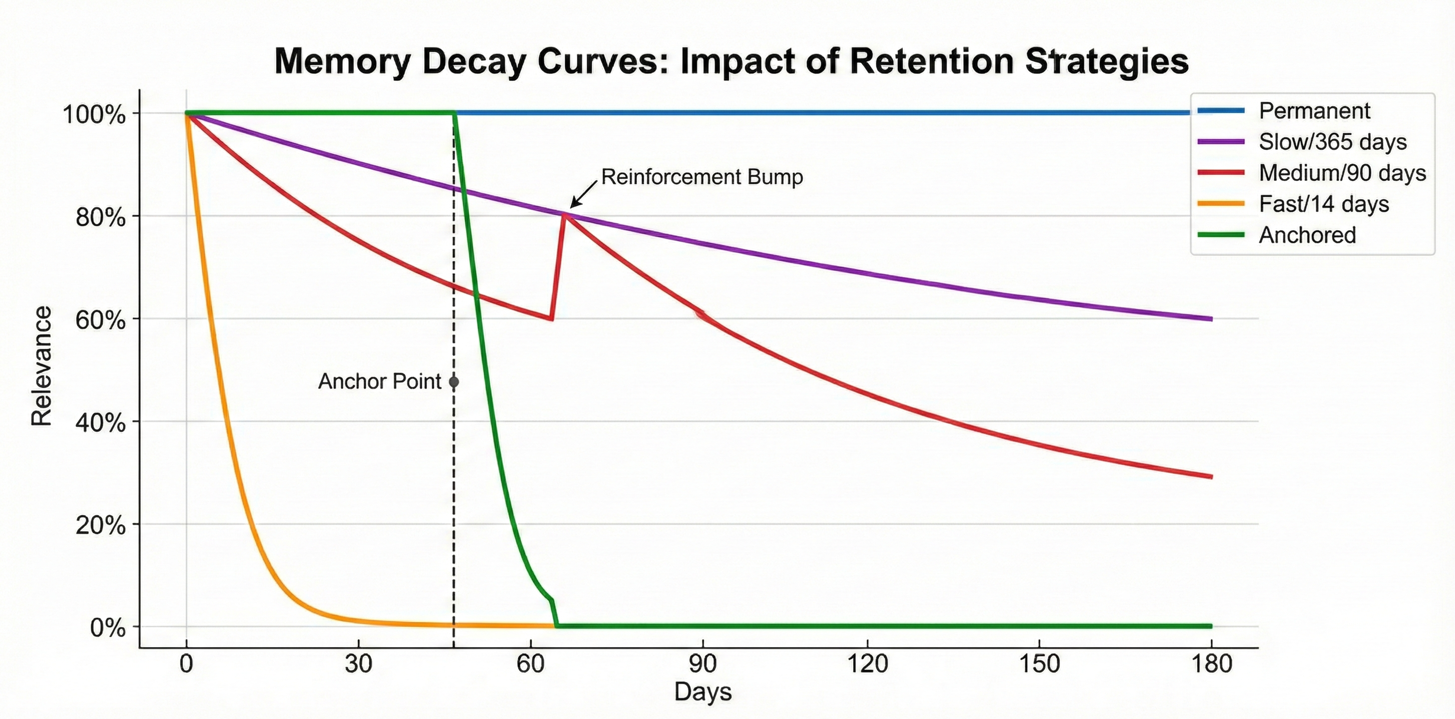 Line graph showing memory decay curves over 180 days with different half-lives: Permanent (flat), Slow/365 days, Medium/90 days, Fast/14 days