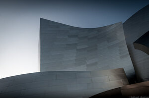 Disney Hall Details
